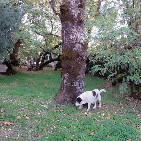 Farm stay Quinta De Sao Jose Sobral de Monte Agraco