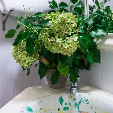 Quinta De Sao Jose Farm stay Sobral de Monte Agraco